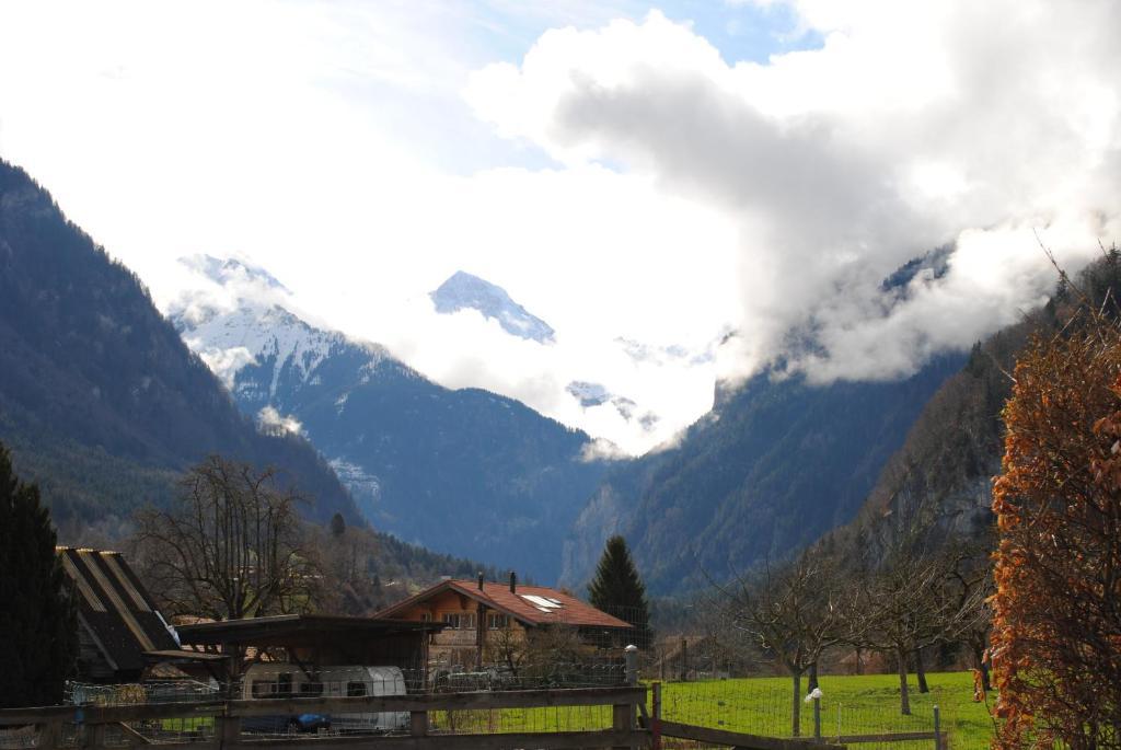 Studio Glaus Wilderswil Quarto foto